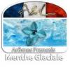 Arme :  Menthe Glaciale 
Dernire mise  jour le :  24-11-2014 