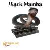 Arme :  Black Mamba Lakrids 
Dernire mise  jour le :  06-12-2016 