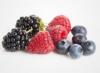 Arme :  Fruits Des Bois 
Dernire mise  jour le :  02-05-2014 