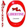 Arme :  Libertine 
Dernire mise  jour le :  16-12-2022 