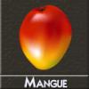 Arme :  Mangue 
Dernire mise  jour le :  14-01-2015 