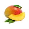 Arme :  Mangue 
Dernire mise  jour le :  15-04-2014 