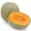 Arme :  Cantaloupe 
Dernire mise  jour le :  19-09-2014 