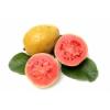 Arme :  Guava 
Dernire mise  jour le :  03-12-2014 