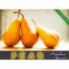 Arme :  Pear 
Dernire mise  jour le :  15-02-2014 