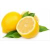Arme :  Gourmet Citron Jaune Naturel 
Dernire mise  jour le :  14-03-2018 