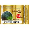 Arme :  Fresh Mint 
Dernire mise  jour le :  31-03-2014 