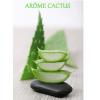 Arme :  Cactus 
Dernire mise  jour le :  30-04-2015 