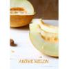 Arme :  Melon 
Dernire mise  jour le :  26-10-2014 