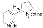 Nude Nicotine